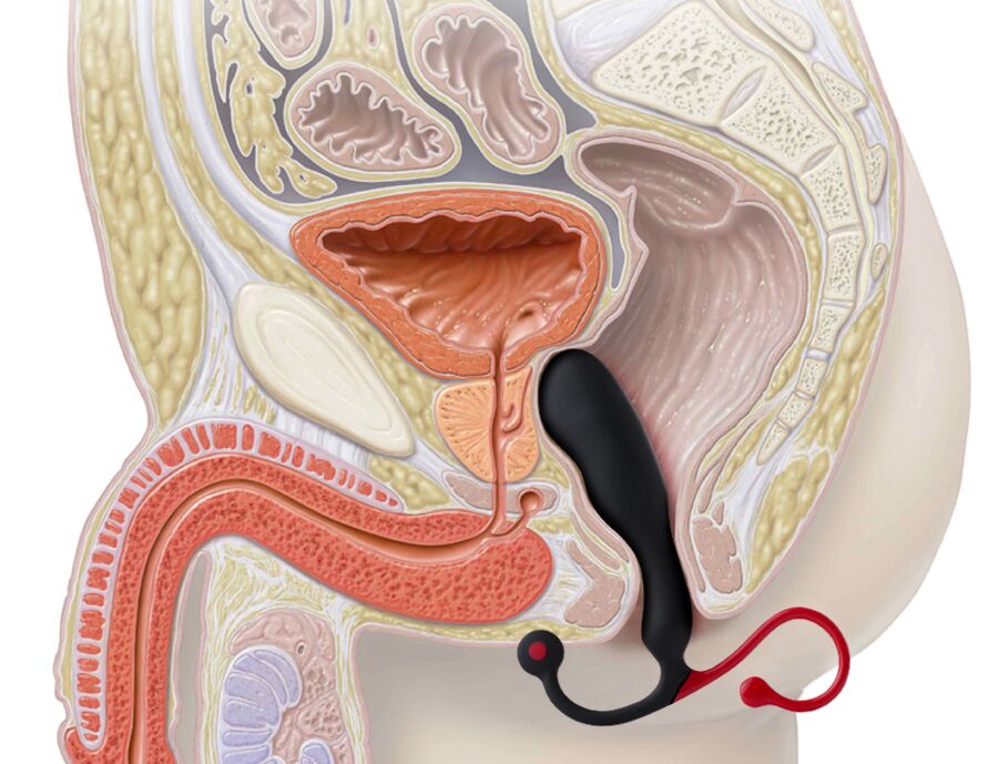 male prostate masturbation Warrior Thrusting Male Masturbator - Black main image 0